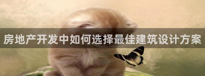 万向娱乐