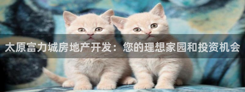 万向娱乐平台代理怎么样