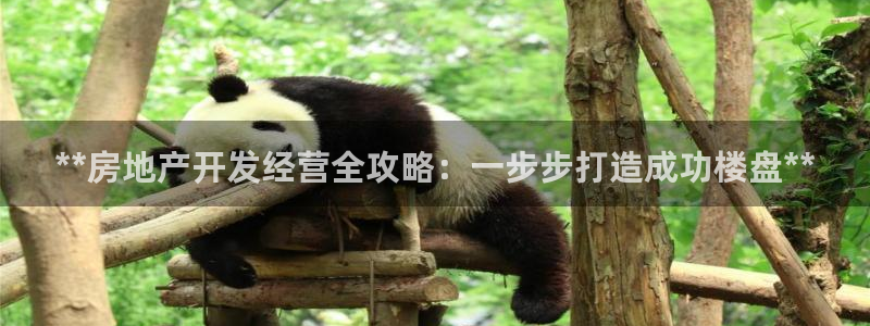 万向娱乐app下载