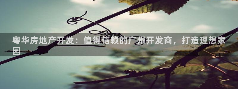 万向娱乐官网下载安装