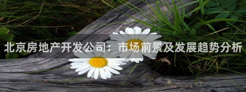 万向娱乐的联系方式是什么