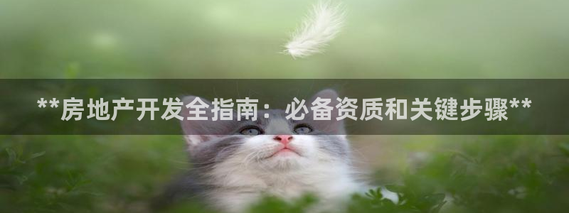 万向娱乐官网下载安装最新版