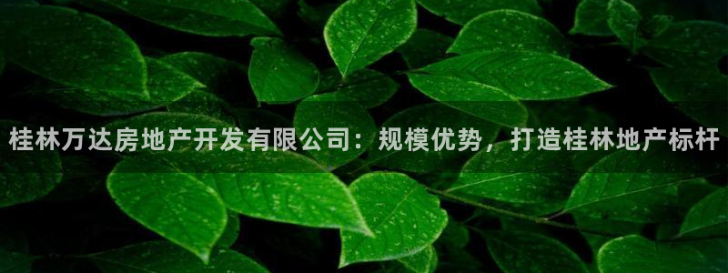 万象游戏代理