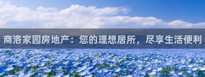 万向娱乐的494o3 主管