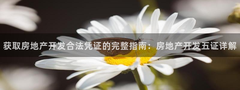 万向娱乐技术