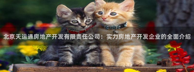 万向娱乐下载