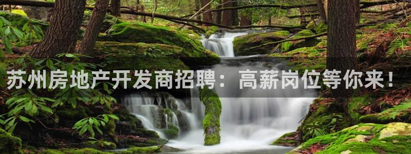 万向娱乐的494o3 主管