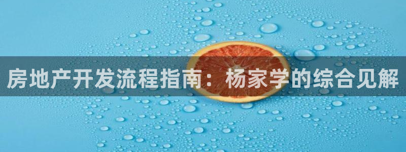 万向娱乐老板