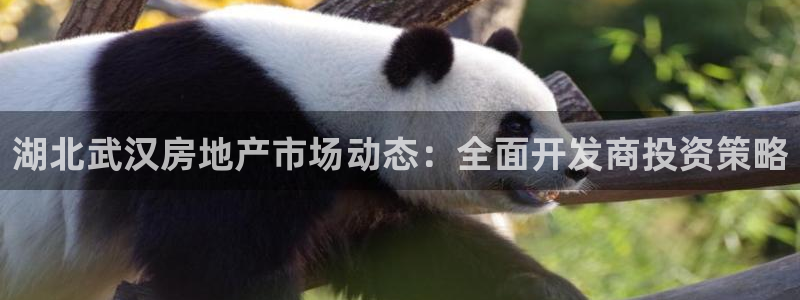 万向娱乐平台代理多少钱