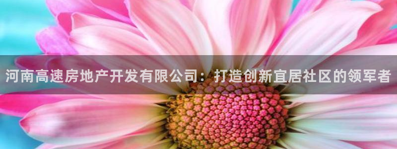 万向娱乐平台代理怎么样