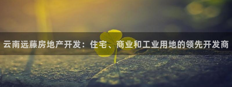 万象游戏代理