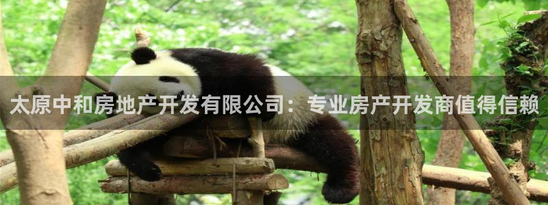 万向娱乐app下载