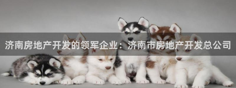 万向娱乐总代