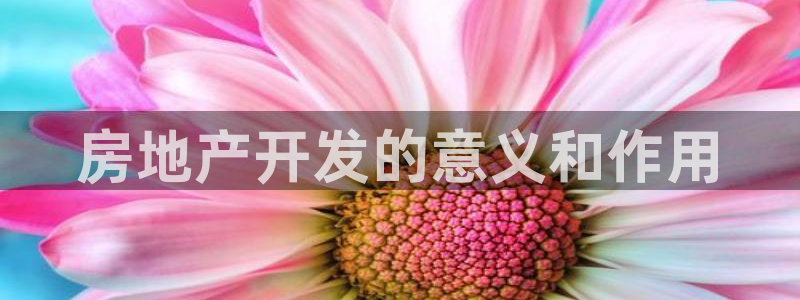 万象国际娱乐网址