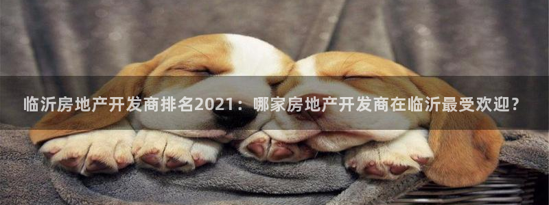 万向娱乐总代