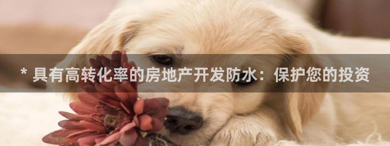 万向娱乐官网网址大全