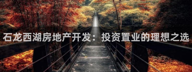万向娱乐平台代理多少钱一年