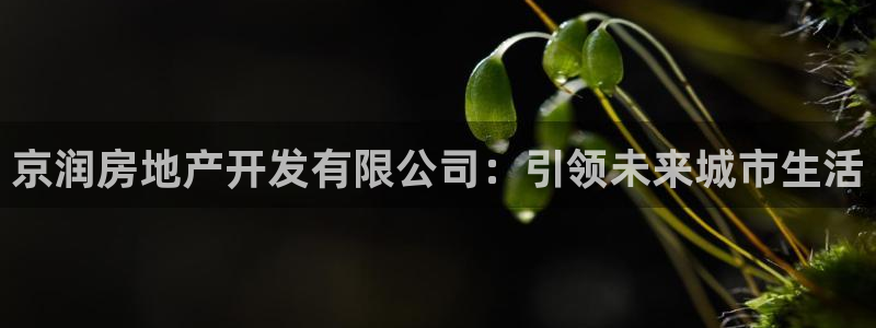 万向娱乐挂机