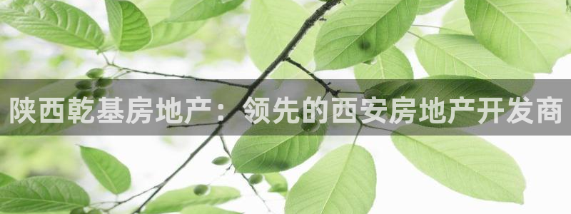 万向娱乐官网下载安装苹果