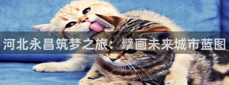 万向娱乐官网