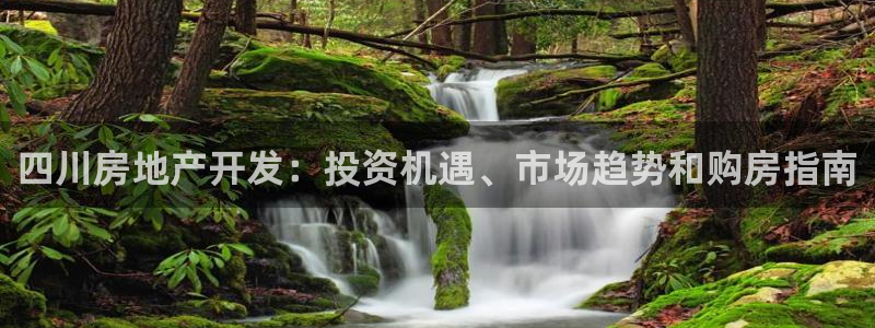 万向娱乐官网下载安装手机版