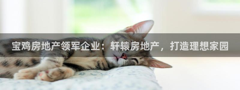 万向娱乐王者荣耀